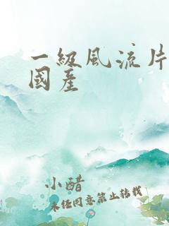 一级风流片a级国产