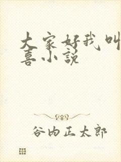 大家好我叫林小喜小说