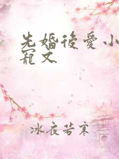 先婚后爱小说甜宠文
