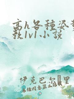 高h各种姿势调教1v1小说