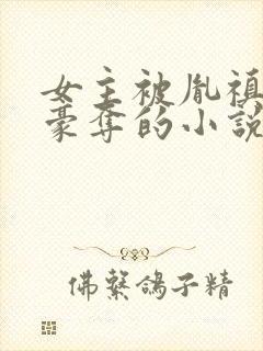 女主被胤禛强取豪夺的小说