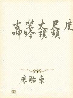 古装大尺度激情呻吟视频