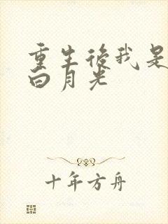 重生后我是大佬白月光