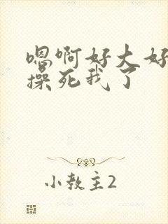 嗯啊好大好爽啊操死我了