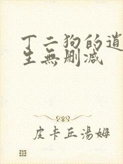 丁二狗的逍遥人生无删减