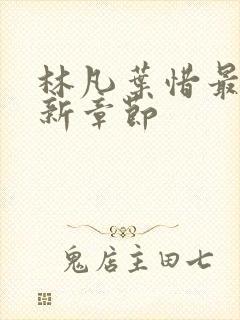 林凡叶惜最新更新章节