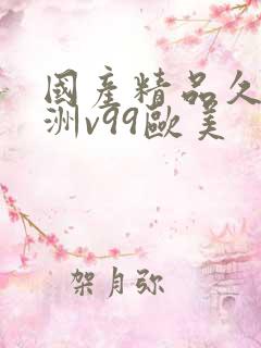 国产精品久久亚洲v99欧美