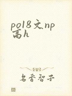 po18文np高h