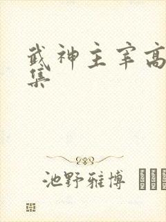 武神主宰高清全集