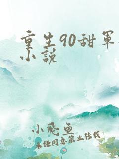 重生90甜军嫂小说