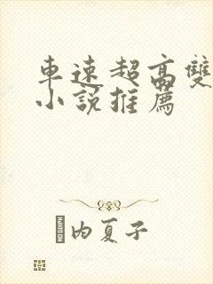 车速超高双男主小说推荐