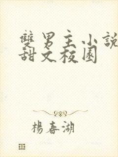 双男主小说推荐甜文校园