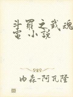 斗罗之武魂是雷电 小说