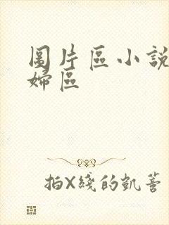 图片区小说区少妇区