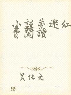 小说梦迷红颜免费阅读