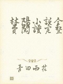 林阳小说全文免费阅读完整版