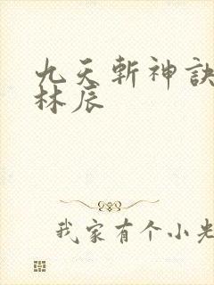 九天斩神诀一一林辰