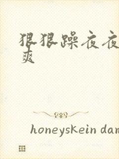 狠狠躁夜夜躁人爽