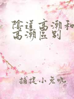 阴道高潮和阴蒂高潮区别