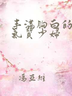 丰满胸白的极品气质少妇