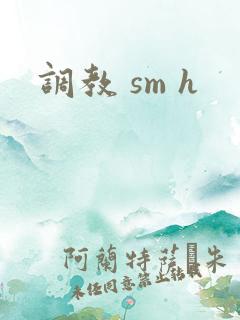 调教 sm h