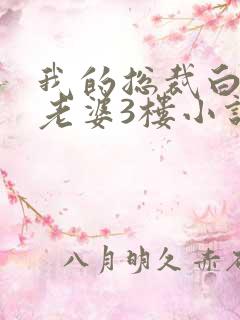 我的总裁白富美老婆3楼小说免费版