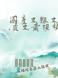 国产又粗又猛又,爽又黄视频