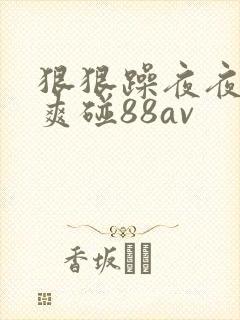 狠狠躁夜夜躁人爽碰88av