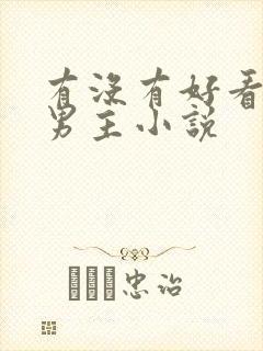 有没有好看的双男主小说