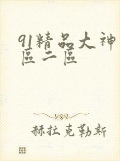 91精品大神一区二区