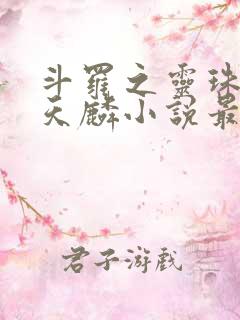 斗罗之灵珠神剑天麟小说最新章节在线