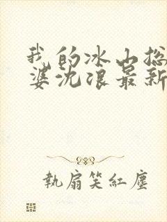 我的冰山总裁老婆沈浪最新章节