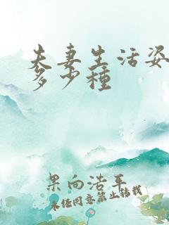 夫妻生活姿势有多少种