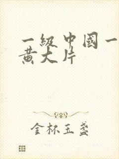 一级中国一级特黄大片