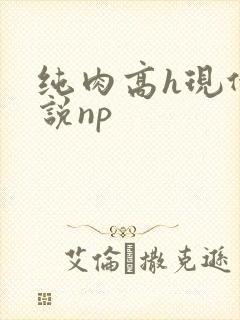 纯肉高h现代小说np