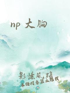 np 大胸