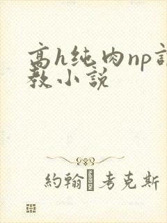 高h纯肉np调教小说