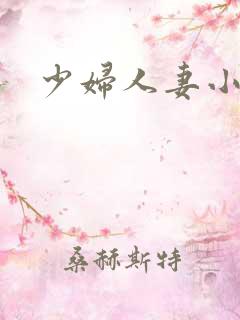 少妇人妻小说h