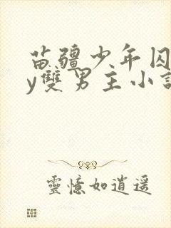 苗疆少年囚禁by双男主小说