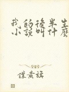 我的后半生原著小说叫什么