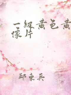 一级黄色黄色录像片