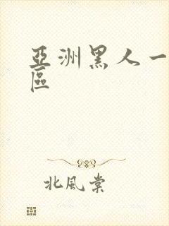 亚洲黑人一区二区