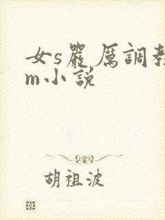 女s严厉调教男m小说