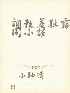 调教羞耻露出男同小说