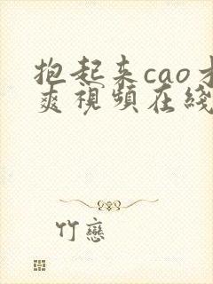 抱起来cao才爽视频在线观看