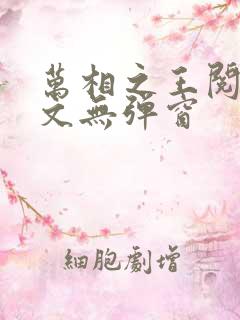 万相之王阅读全文无弹窗