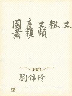 国产又粗又猛又黄视频