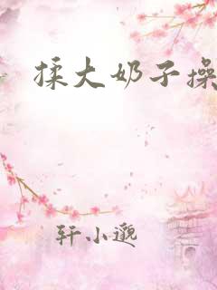 揉大奶子操小逼