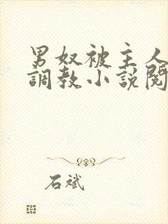 男奴被主人虐乳调教小说阅读