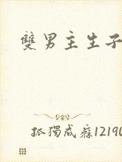 双男主生子车文